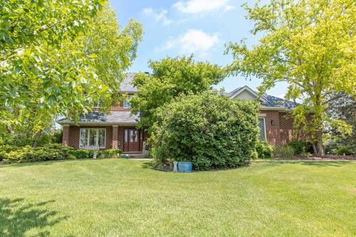12808 W Timber, Homer Glen, IL 60491