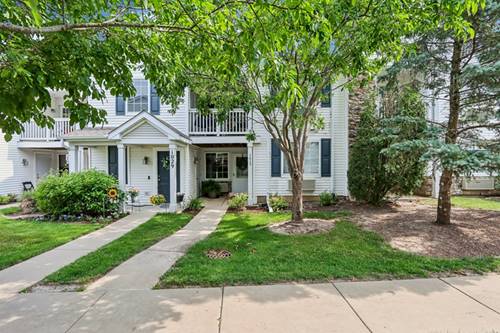 1013 Silverstone Unit 1013, Carpentersville, IL 60110