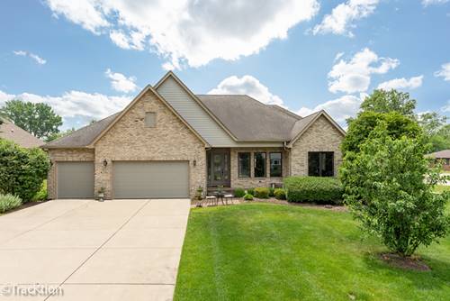 6803 S Adams, Willowbrook, IL 60527
