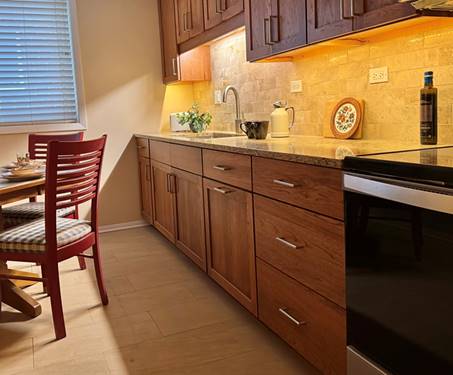 825 Pearson Unit 3F, Des Plaines, IL 60016