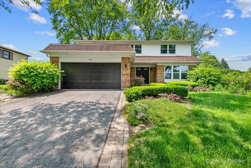 506 S Brighton, Palatine, IL 60067