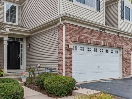 9809 Williams Unit 9809, Huntley, IL 60142