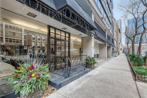 33 E Cedar Unit 17D, Chicago, IL 60611