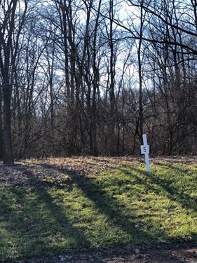 Lot 5 Oak Meadow, Homer Glen, IL 60491