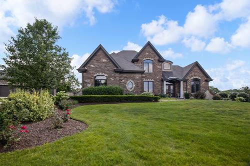 8746 Stone Creek, Frankfort, IL 60423