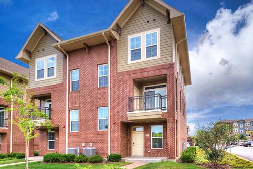 668 E Algonquin Unit 6102, Schaumburg, IL 60173