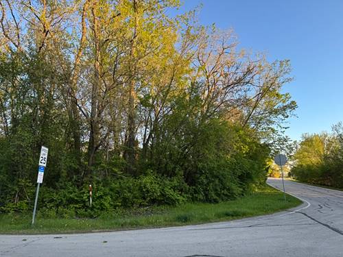 Lot 17 Lacey, Naperville, IL 60563
