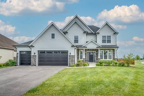 25320 W Alison, Plainfield, IL 60586