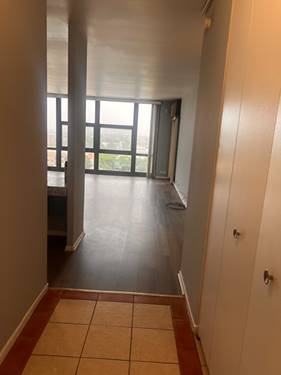 3001 S Michigan Unit 1204, Chicago, IL 60616