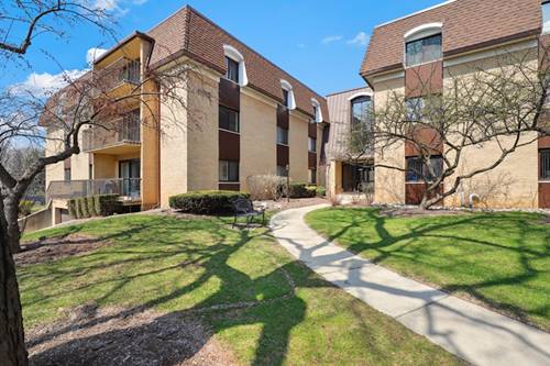1105 N Mill Unit 215, Naperville, IL 60563