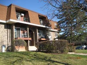 580 Mesa Unit 203, Hoffman Estates, IL 60169