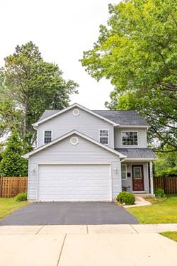 340 Hubbard, Elgin, IL 60123
