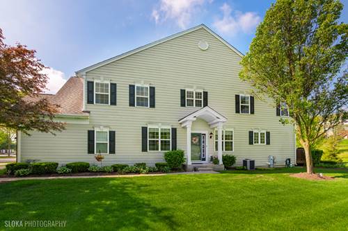 1110 Pine Valley, Elgin, IL 60124