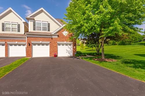 1110 Pine Valley, Elgin, IL 60124