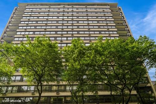 33 E Cedar Unit 3D, Chicago, IL 60611