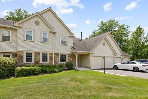 202 Dublin Unit V-1, Schaumburg, IL 60194