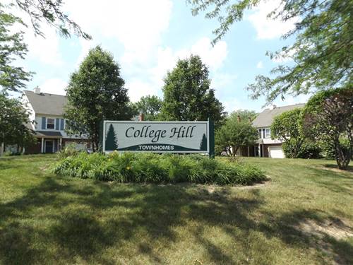 601 College, Schaumburg, IL 60173