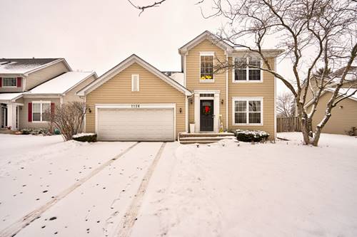 1156 Haag, Aurora, IL 60504