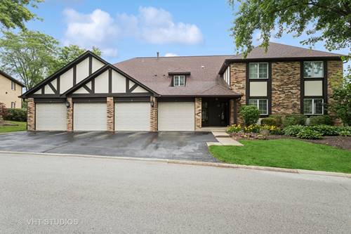 25 Algonquin Unit 1, Indian Head Park, IL 60525