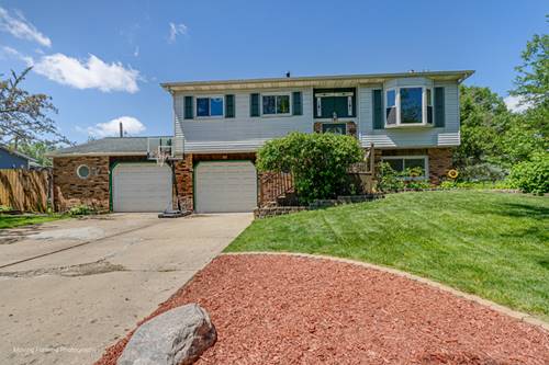 161 Olympic, Bolingbrook, IL 60440