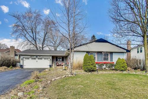 810 Woodhollow, Buffalo Grove, IL 60089