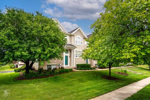 598 Lincoln Station, Oswego, IL 60543