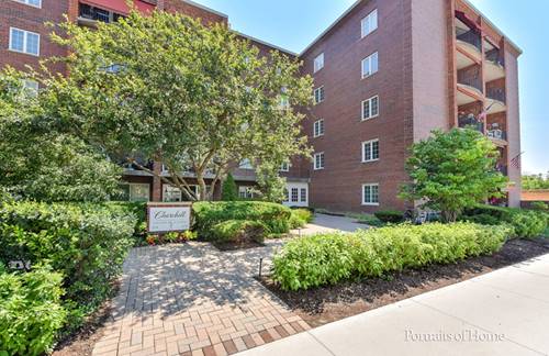 515 N Main Unit 2DS, Glen Ellyn, IL 60137