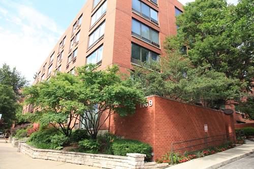 1169 S Plymouth Unit 312, Chicago, IL 60605