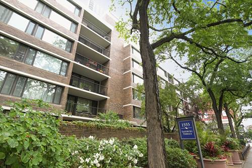 1555 N Sandburg Unit 301, Chicago, IL 60610