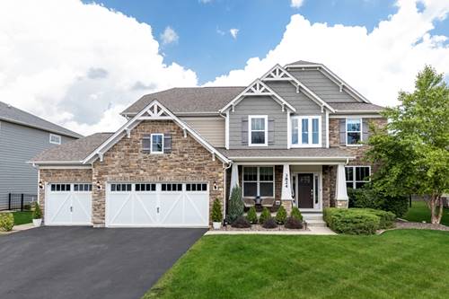 3824 Nannyberry, Naperville, IL 60564