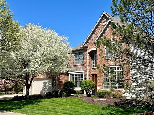 3656 Hector, Naperville, IL 60564