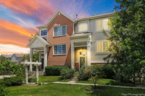 719 Hanbury Unit 719, Des Plaines, IL 60016