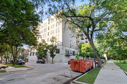 811 S Lytle Unit 316, Chicago, IL 60607
