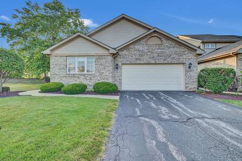 56 Iliad, Tinley Park, IL 60477
