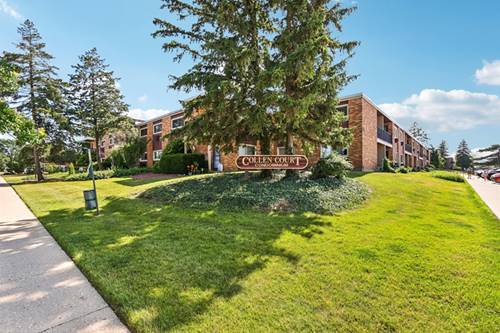 1320A Lore Unit 204, Lombard, IL 60148
