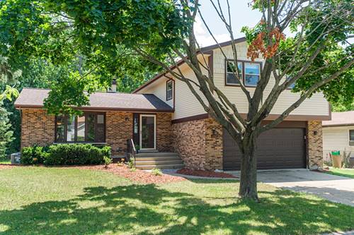 1707 Roosa, Elk Grove Village, IL 60007