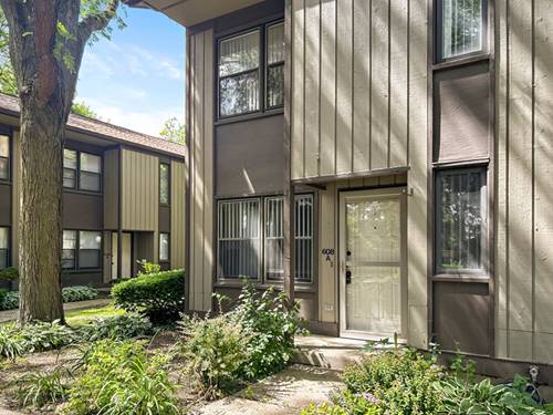 608 N Hough Unit 3, Barrington, IL 60010