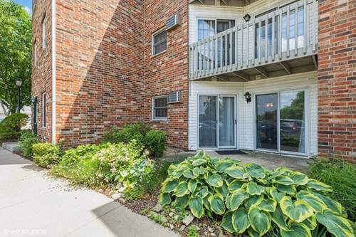 4301 W Shamrock Unit 1C, Mchenry, IL 60050