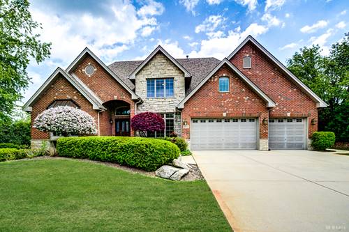 21359 Saddle, Mokena, IL 60448