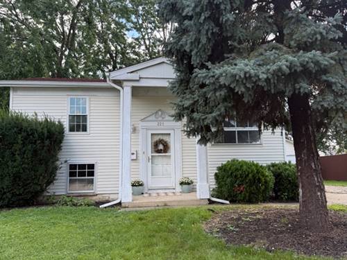 221 Murphy, Romeoville, IL 60446