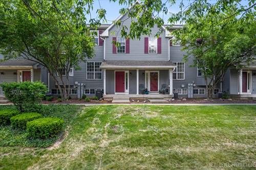 1309 Chestnut Unit 1309, Yorkville, IL 60560
