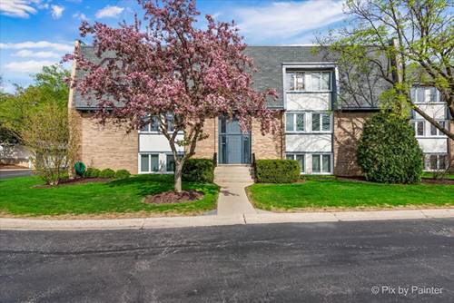 2109 Ammer Ridge Unit 201, Glenview, IL 60025