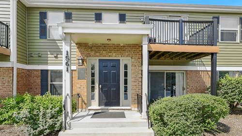 1561 Raymond Unit 104, Naperville, IL 60563