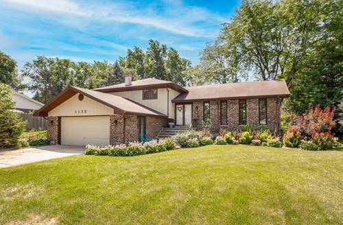 1133 Central, Downers Grove, IL 60516