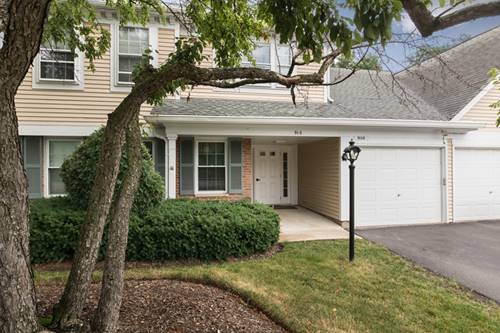 910 Persimmon Unit B, Mount Prospect, IL 60056