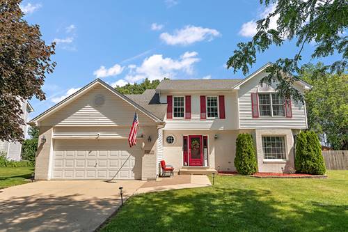 24929 Vermette, Plainfield, IL 60585