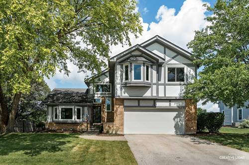 217 Cortez, Naperville, IL 60563