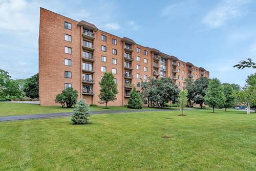 1727 W Crystal Unit 308, Mount Prospect, IL 60056