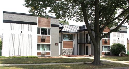329 W Kimbell Unit 13, Elmhurst, IL 60126