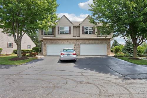 11119 Douglas, Huntley, IL 60142